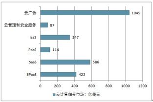 2019-2025年中国云计算市场调查与投资前景评估报告